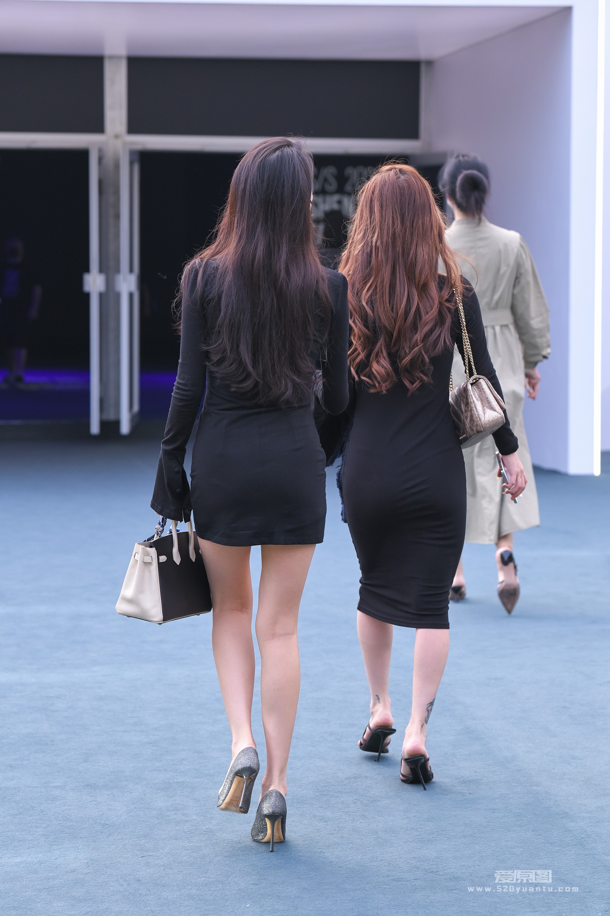 DSC_4278.jpg