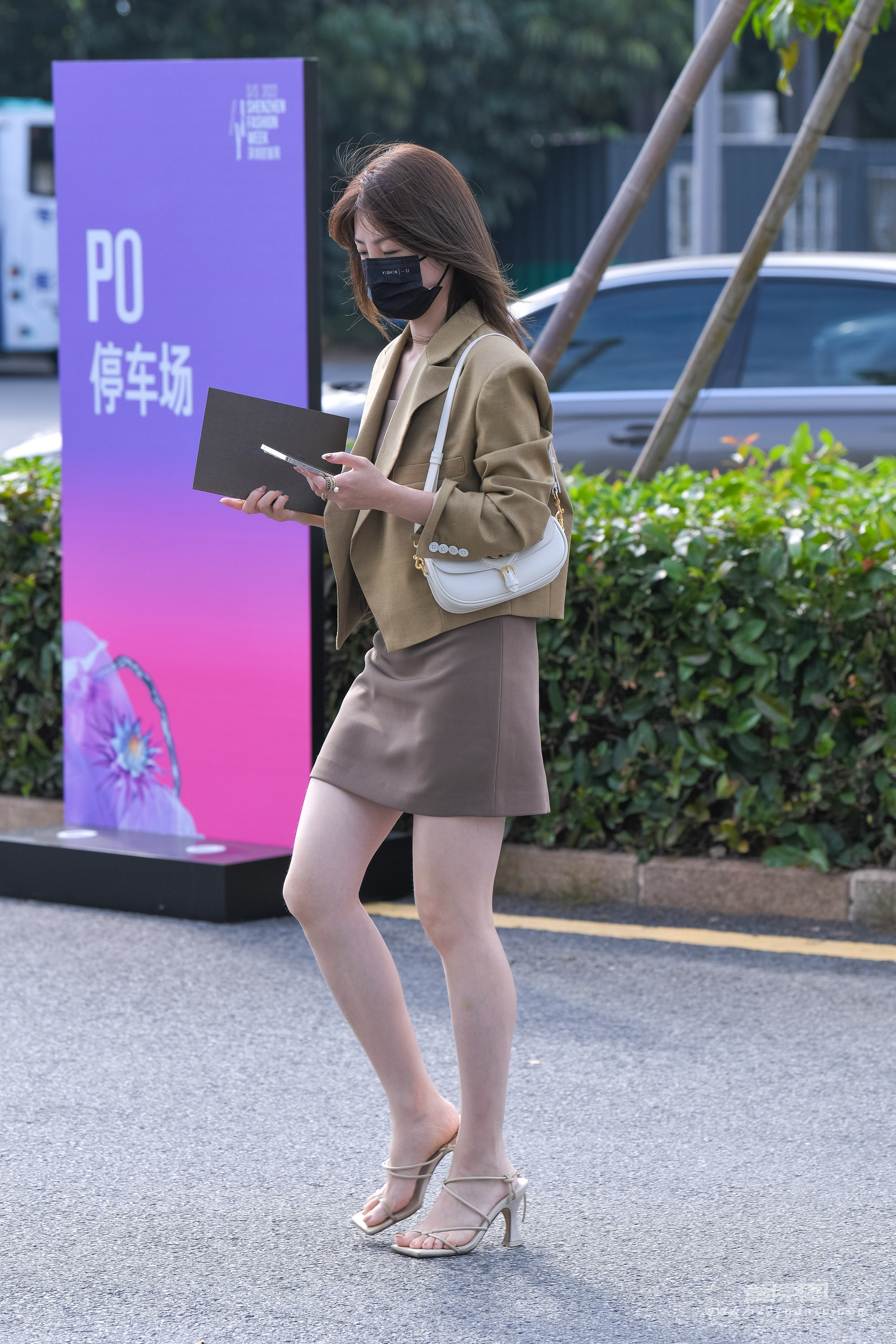 DSC_6533.JPG