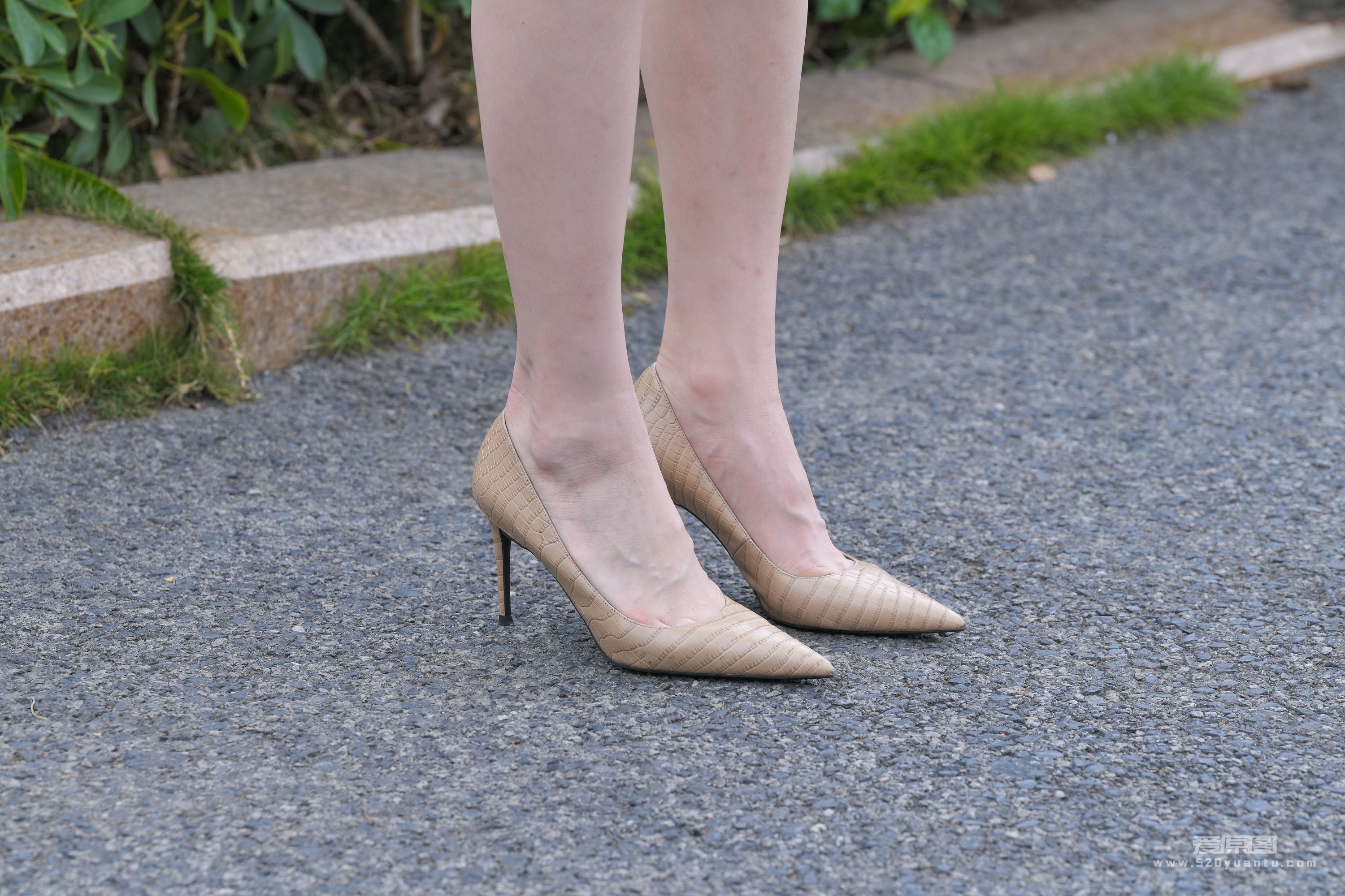 DSC_6080.JPG