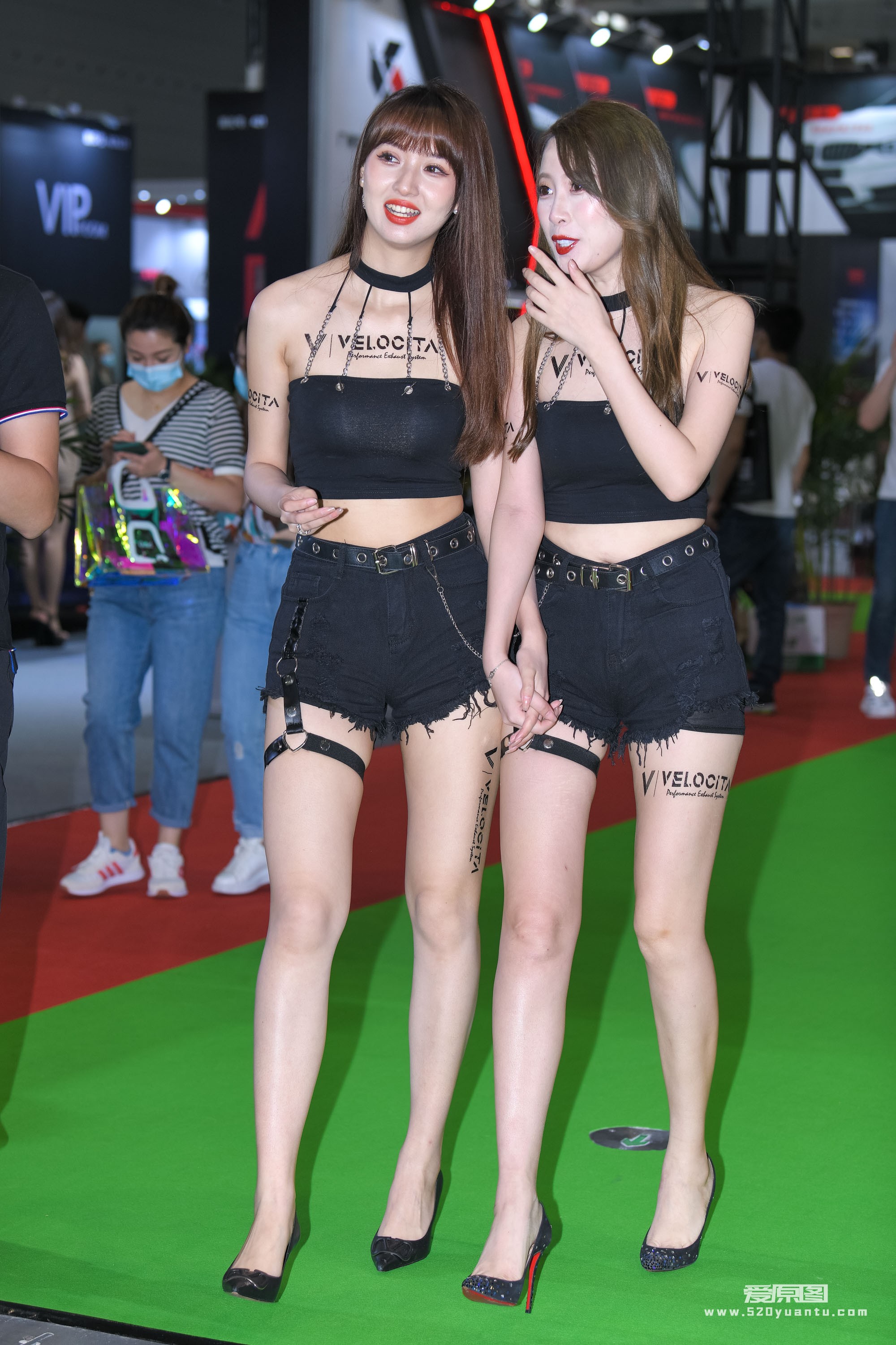 DSC_0919.JPG