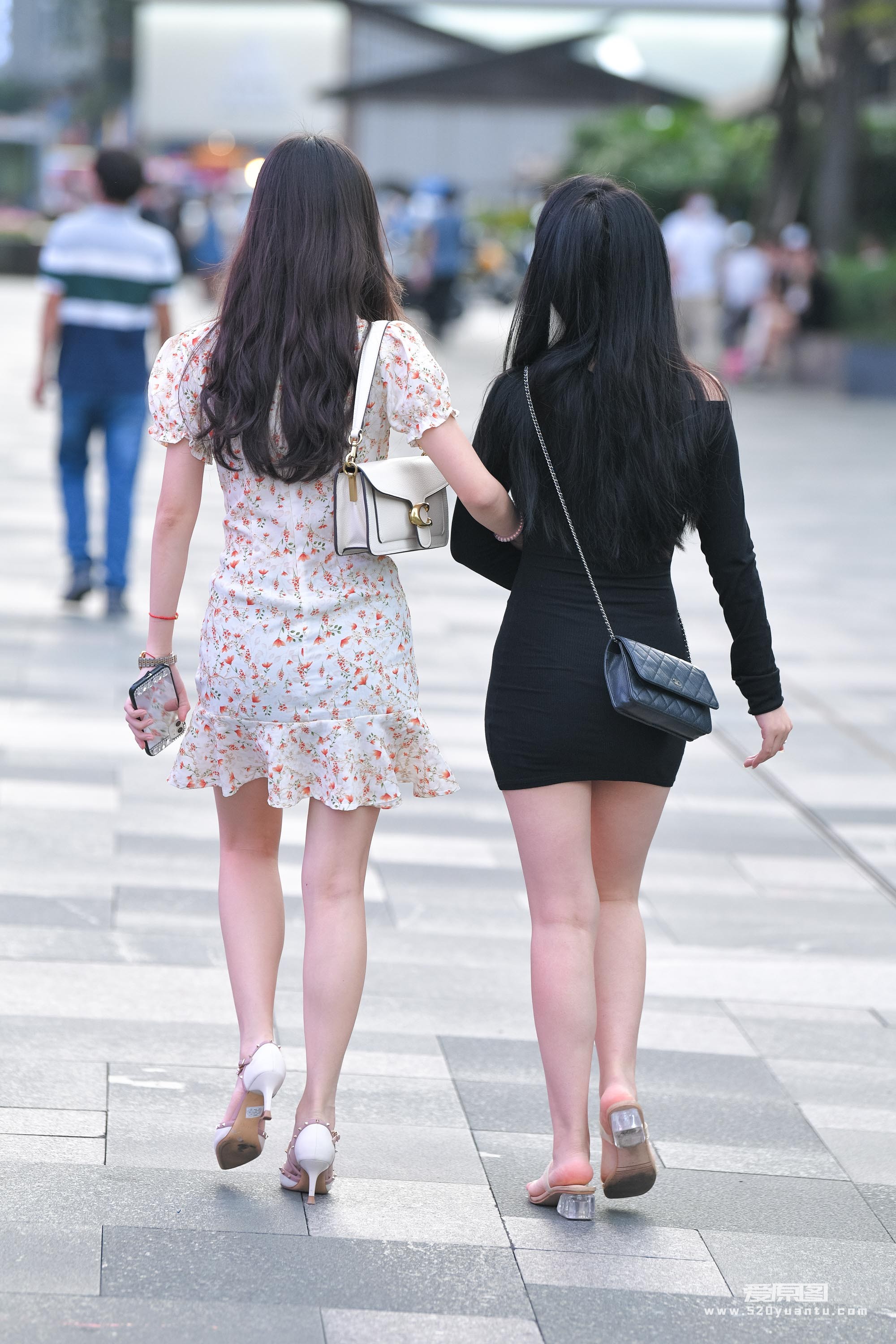DSC_8223.JPG