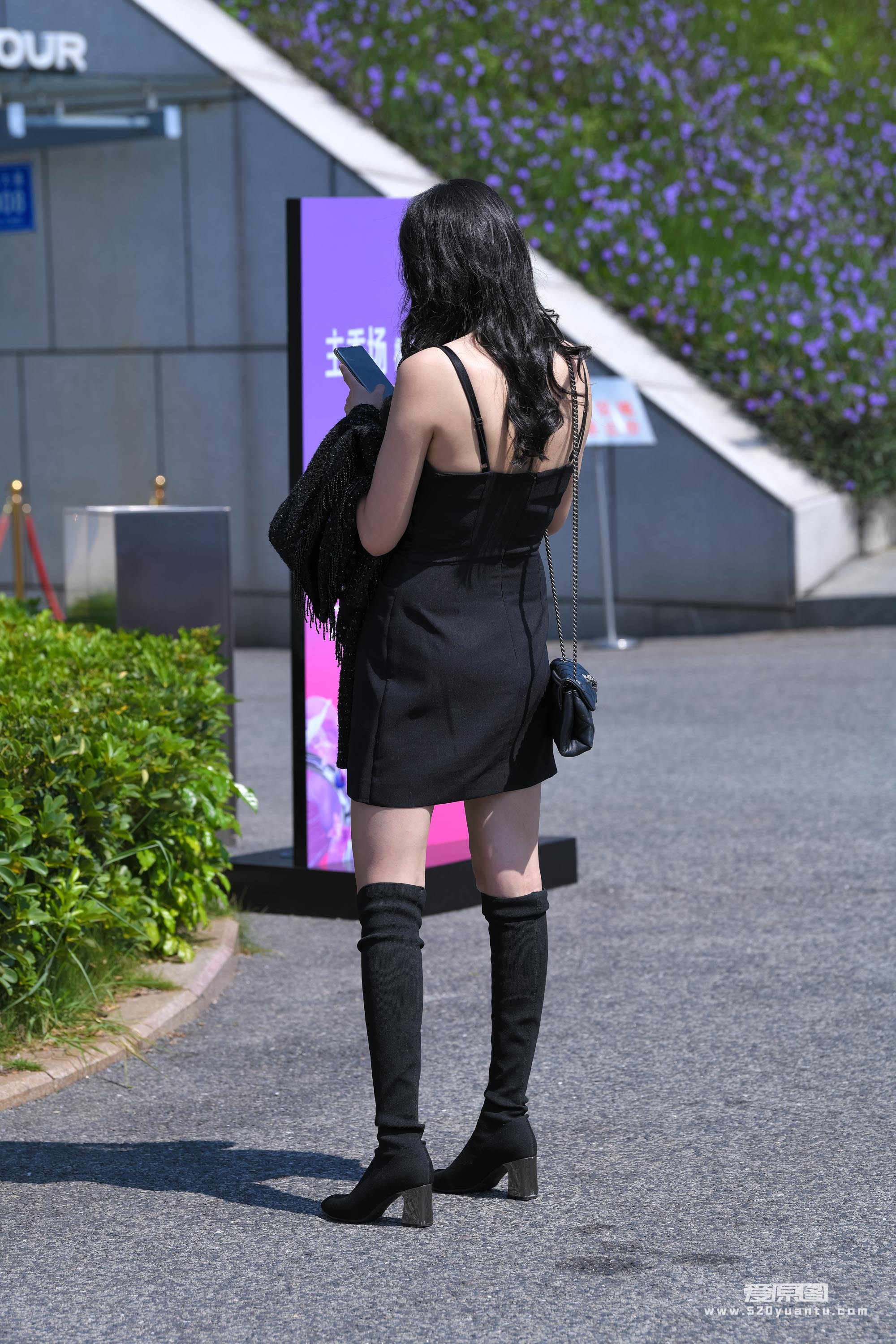 DSC_8803.JPG
