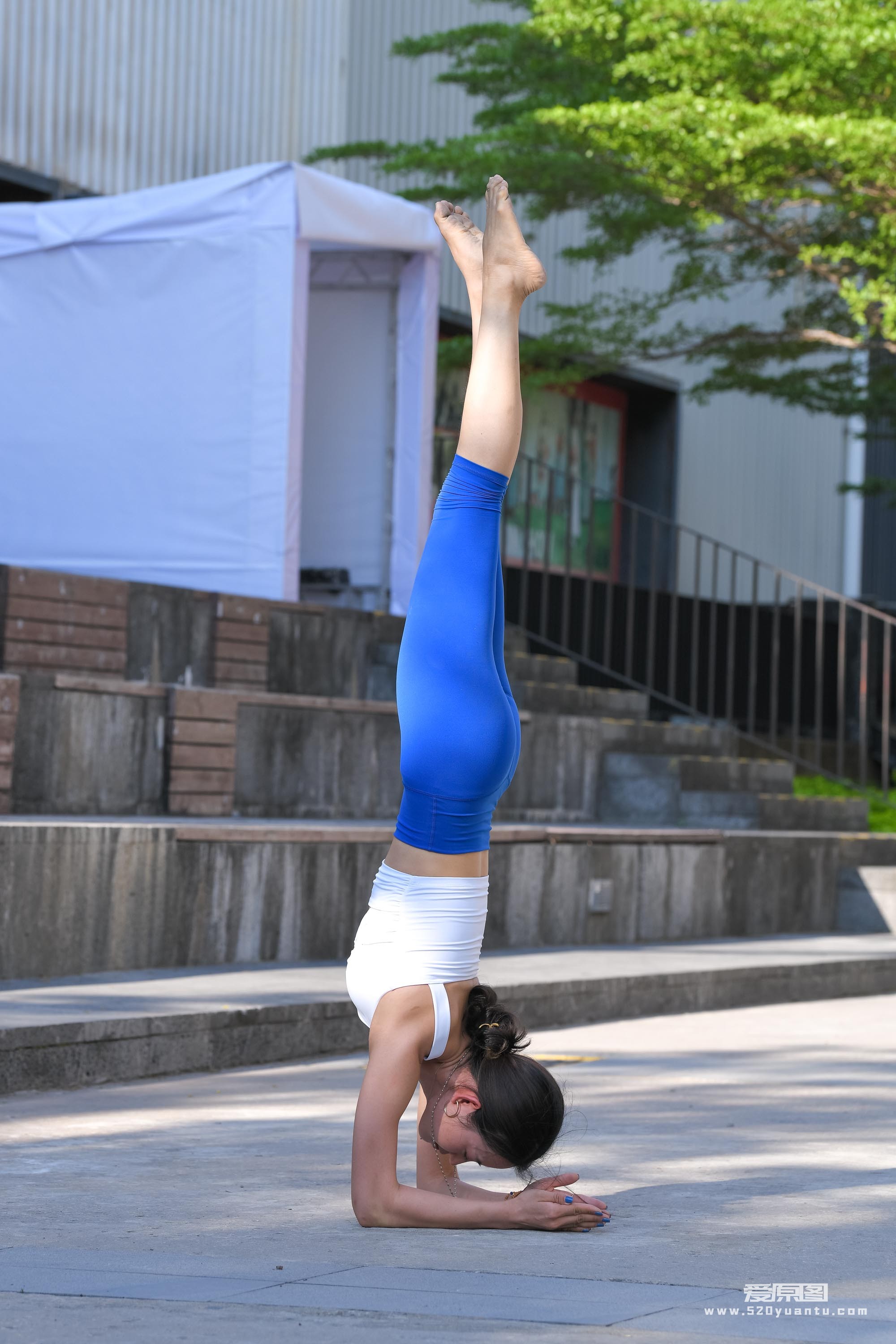 DSC_7505.JPG
