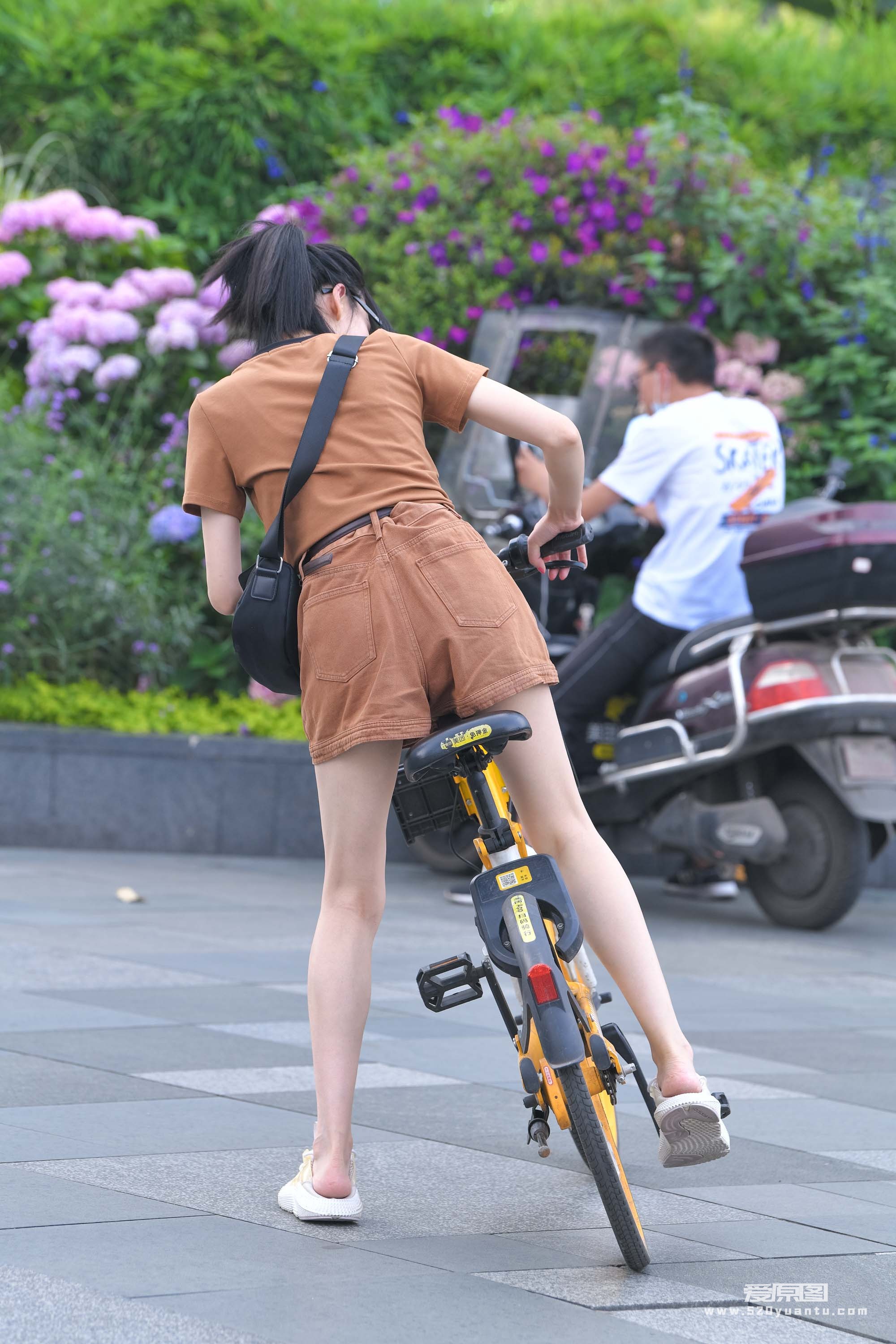 DSC_7479.JPG