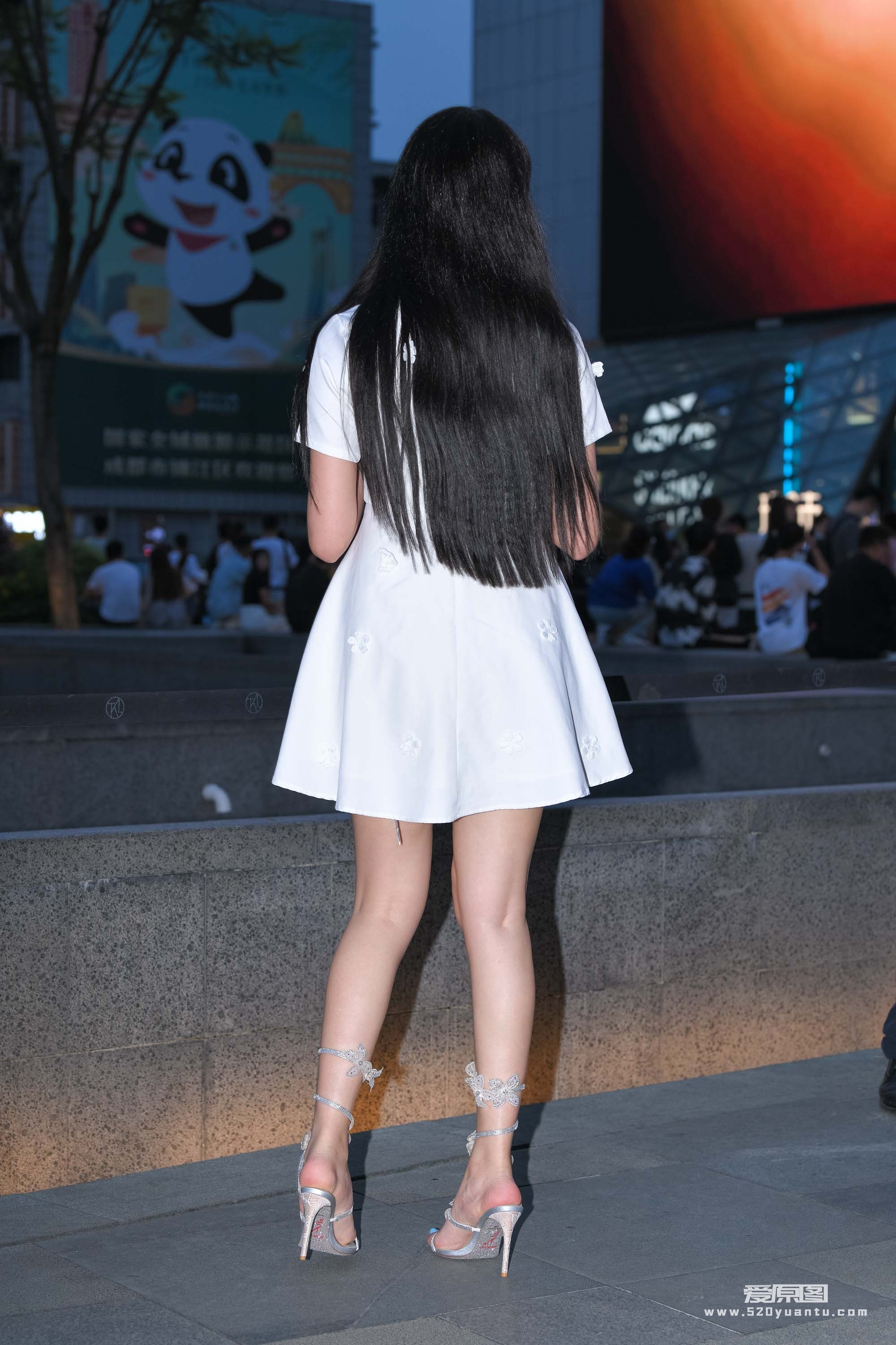 DSC_6646.JPG
