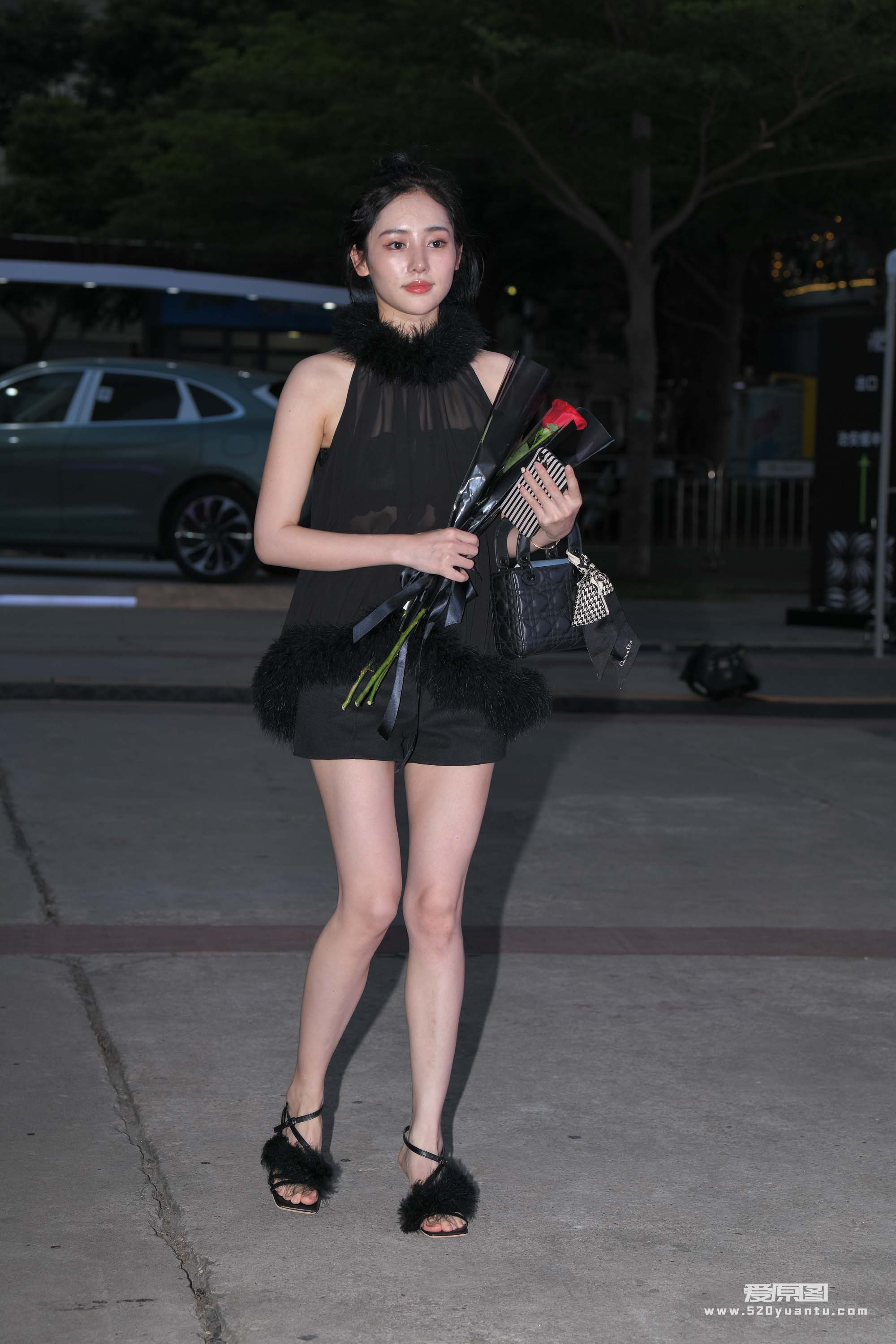 DSC_8468.JPG