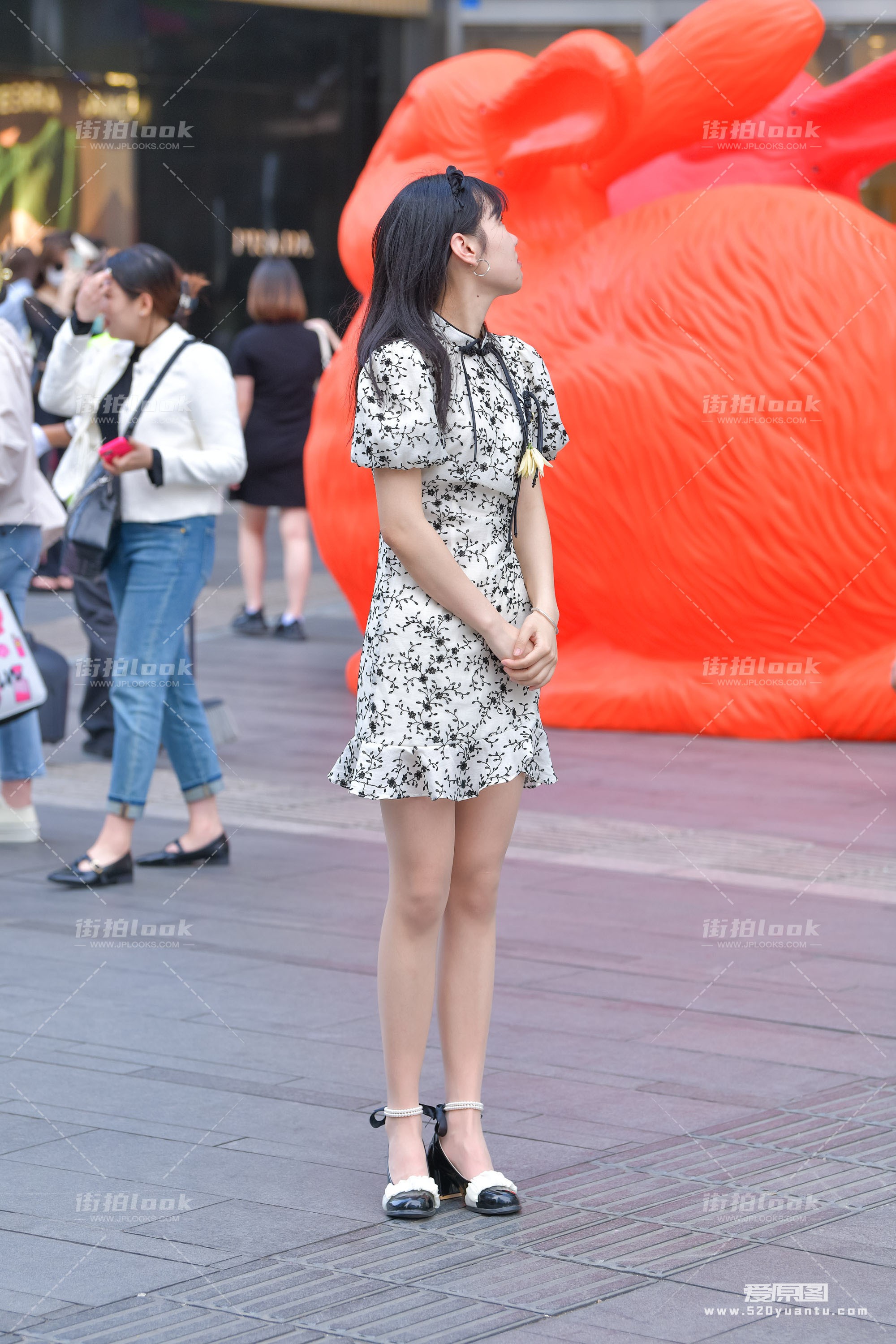DSC_7504.JPG