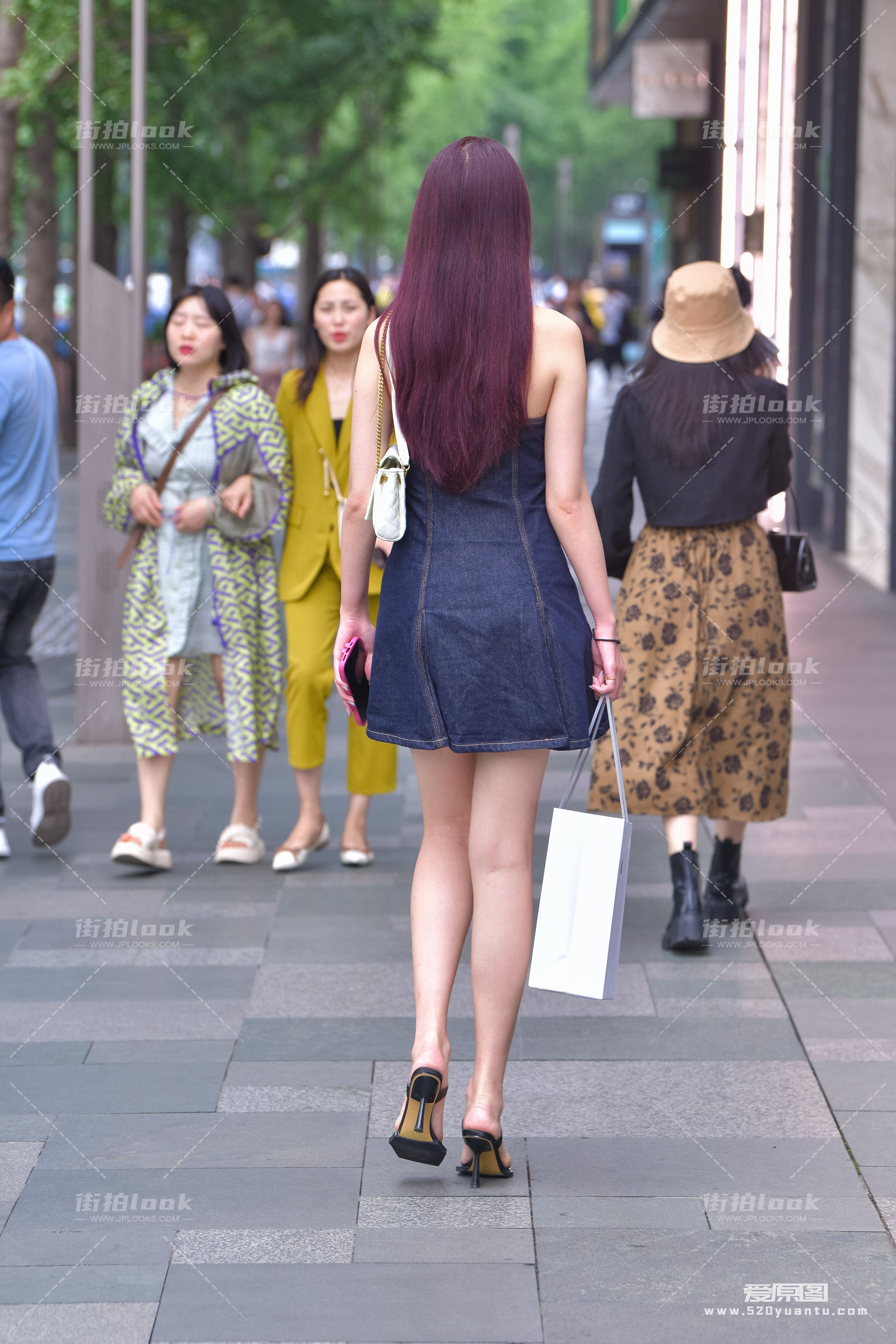 DSC_2544.JPG