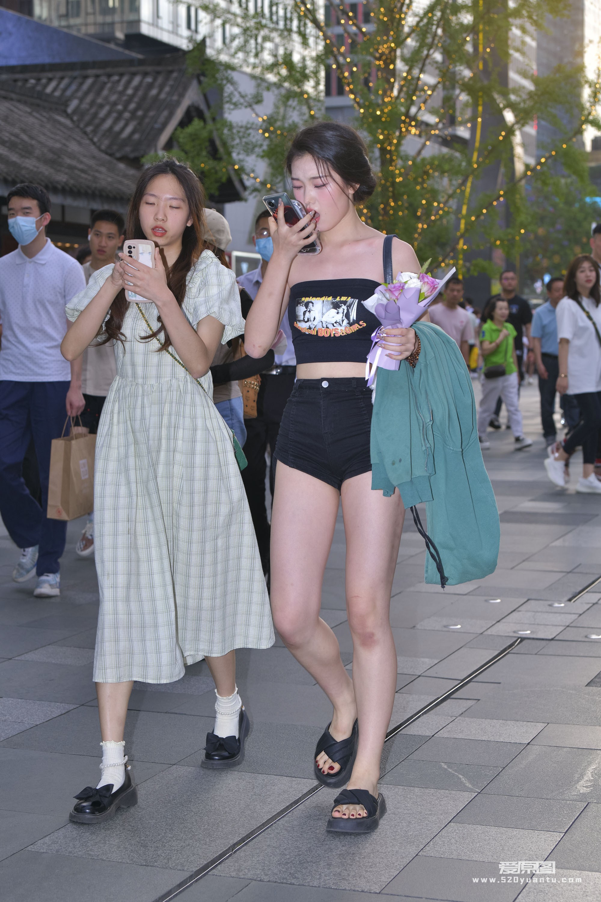 DSC_4803.jpg