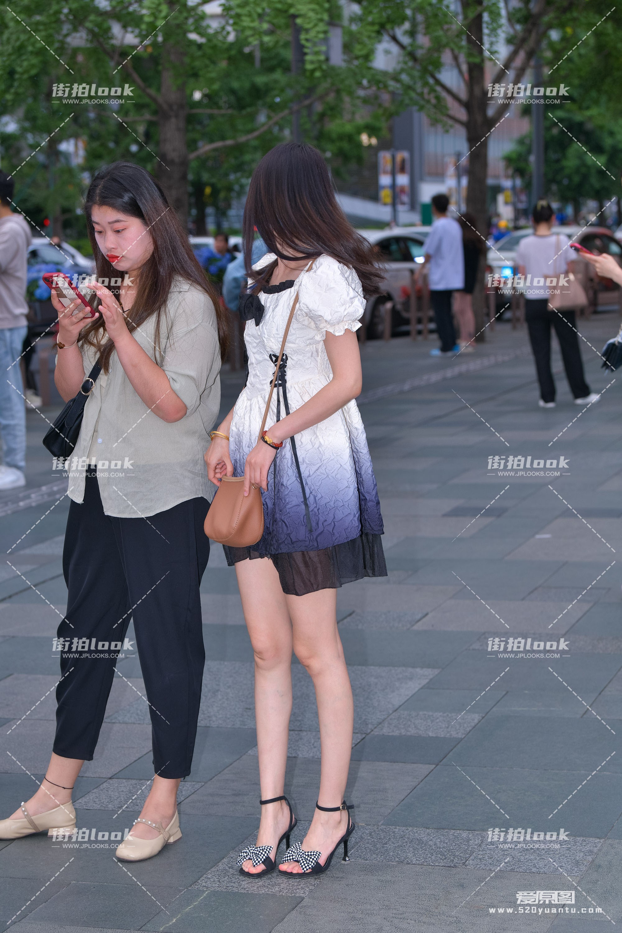 DSC_4238.JPG