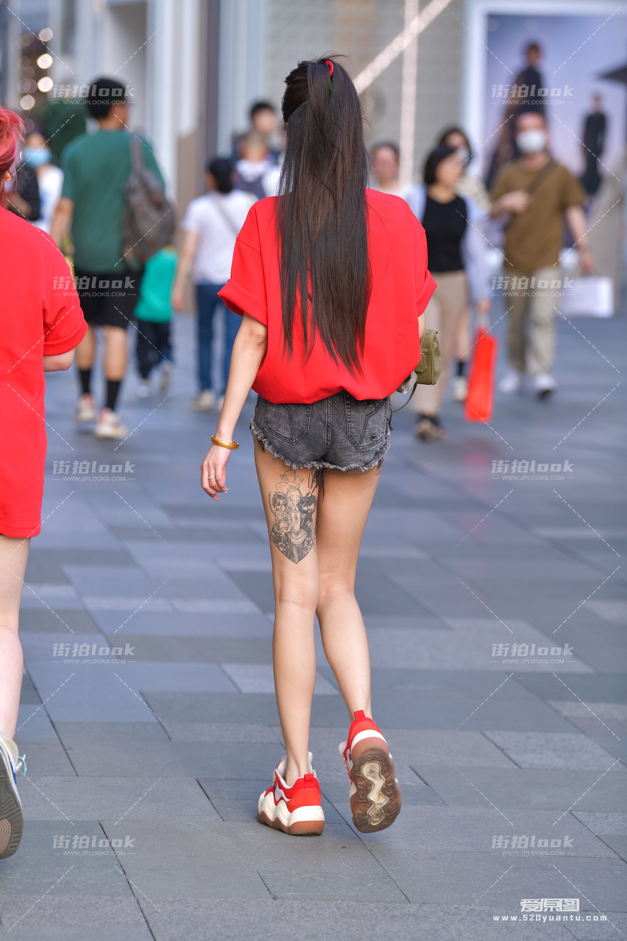 DSC_8518.JPG