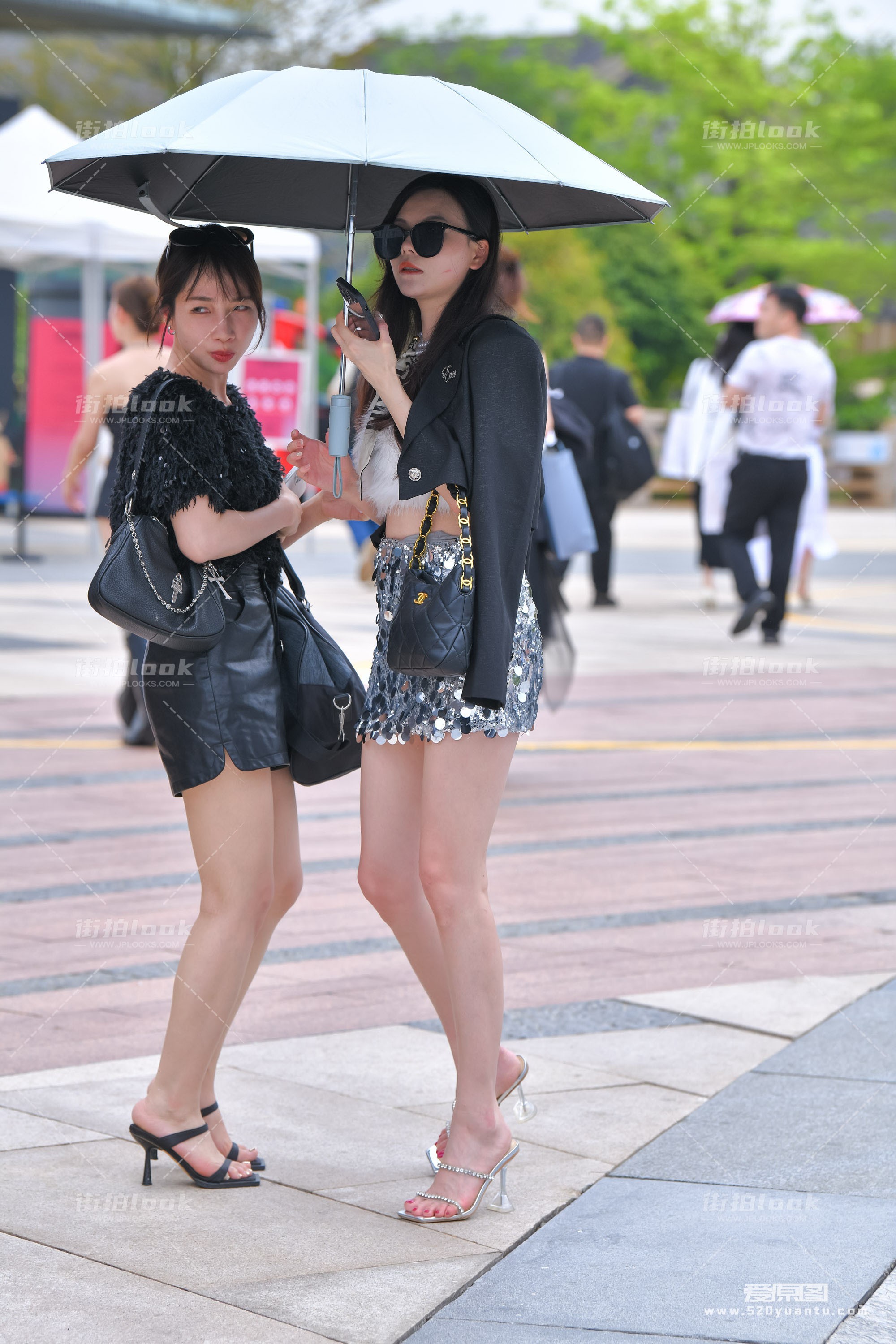 DSC_8312.JPG
