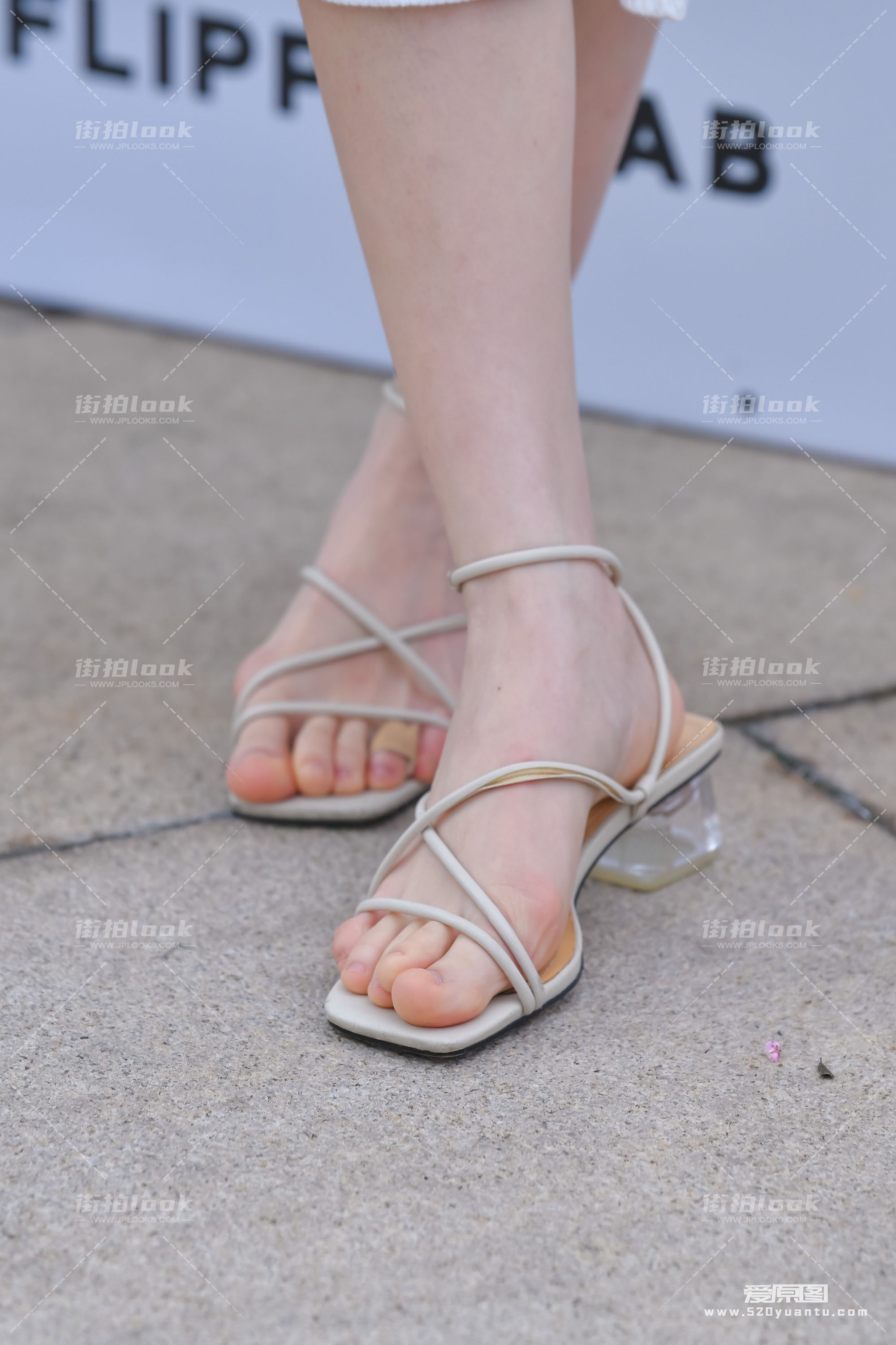 DSC_1681.JPG