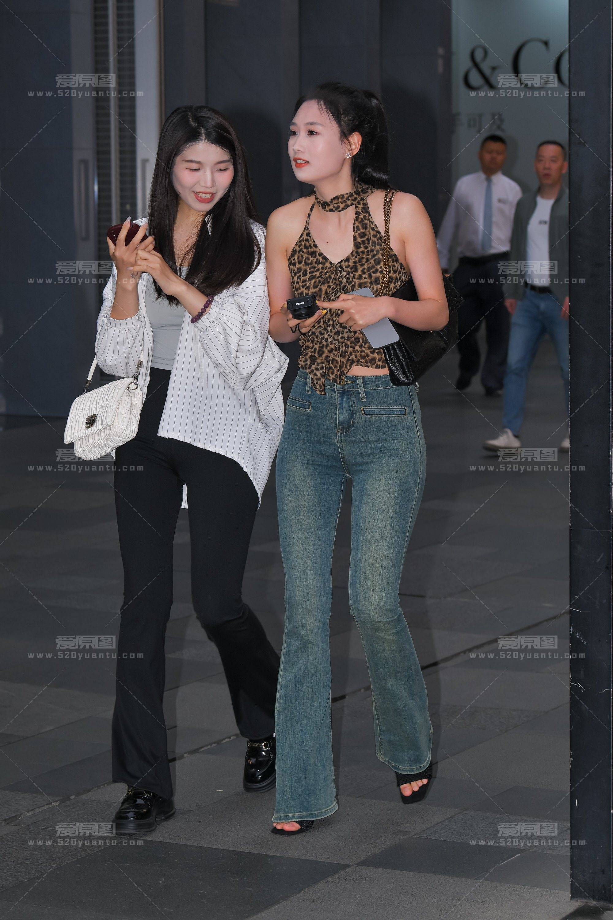 DSC_6886.JPG