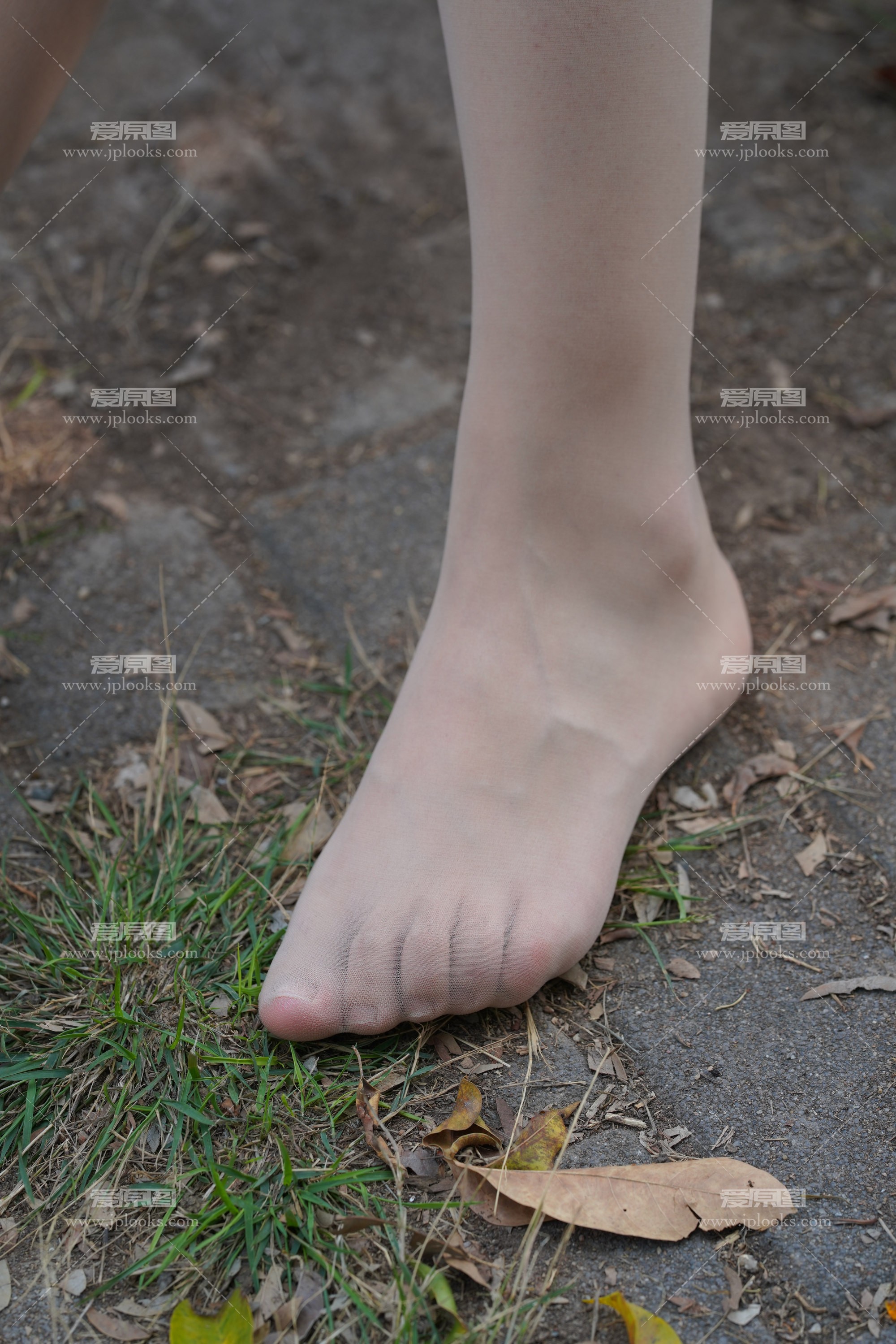 YXZ07778.JPG