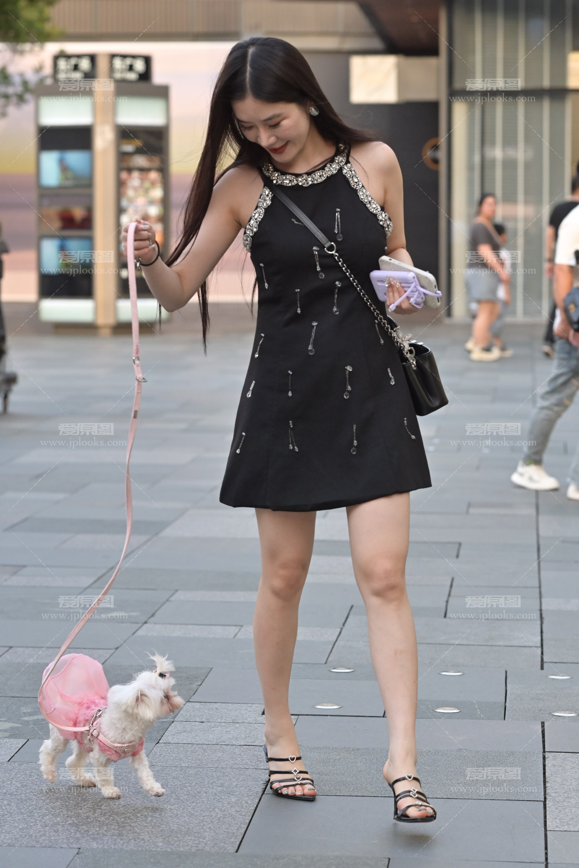 DSC_6079.jpg