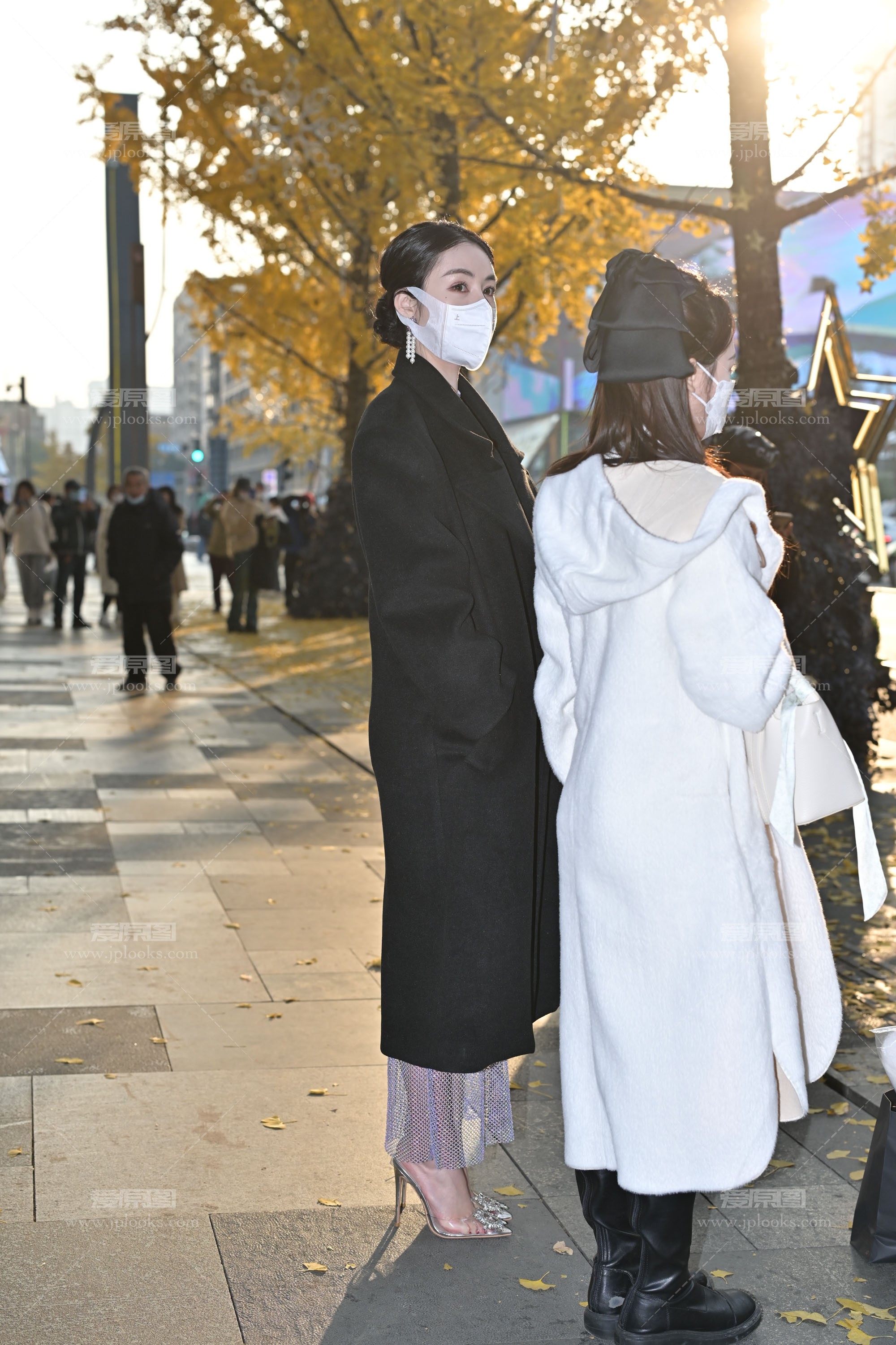DSC_2159_1.jpg