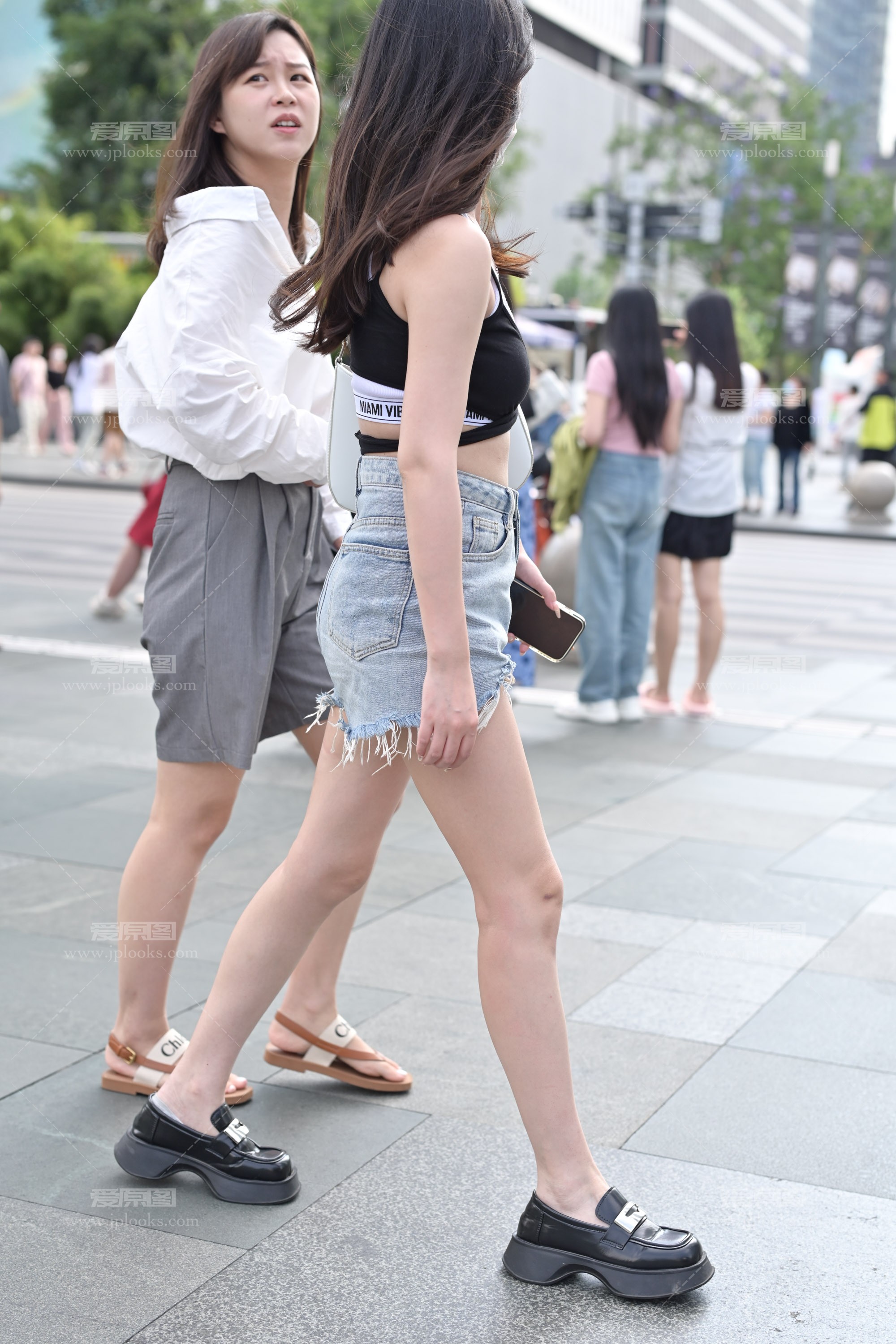 DSC_8388.jpg