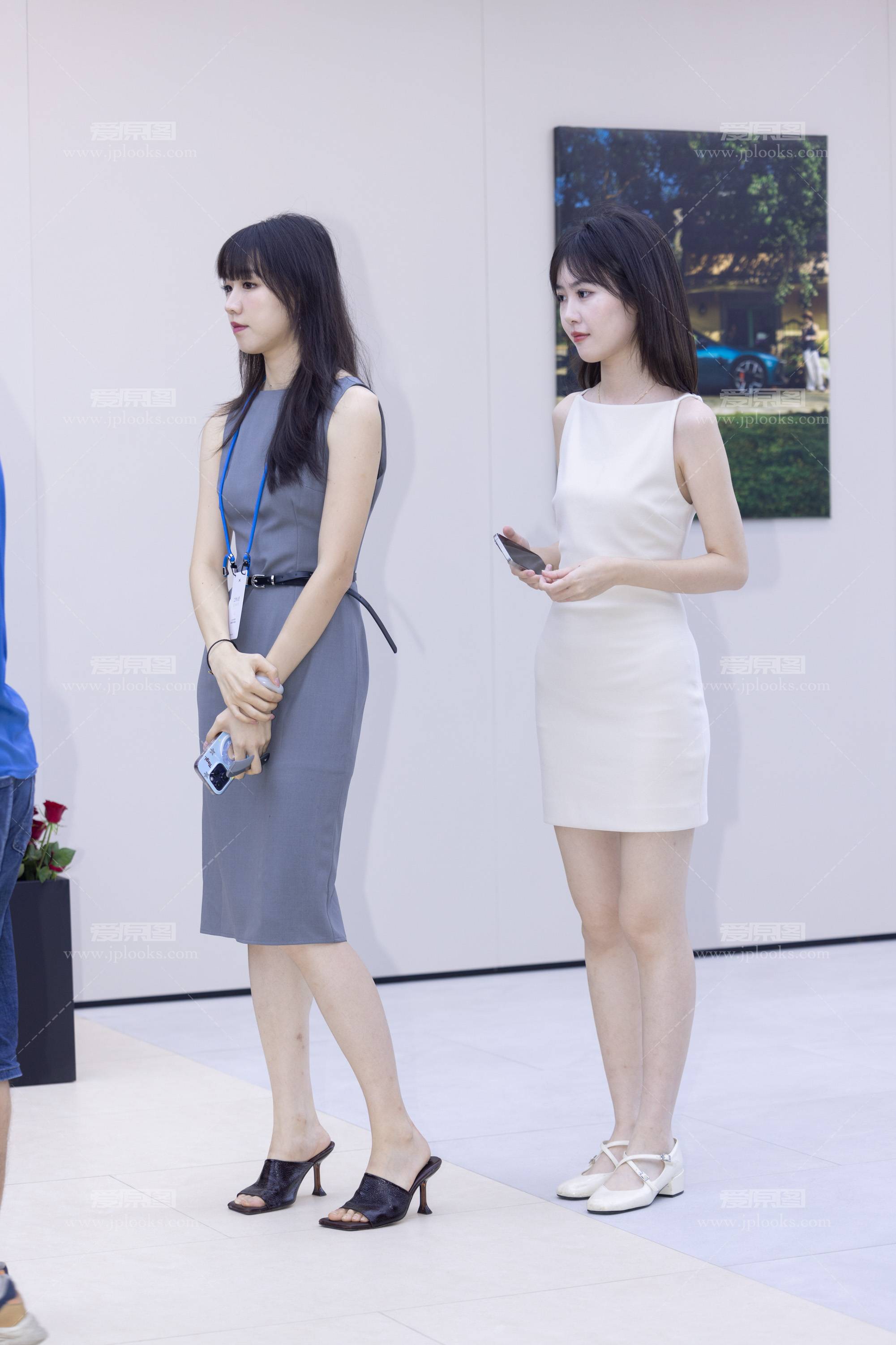 IMGC1319.jpg